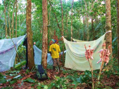 amazon camping