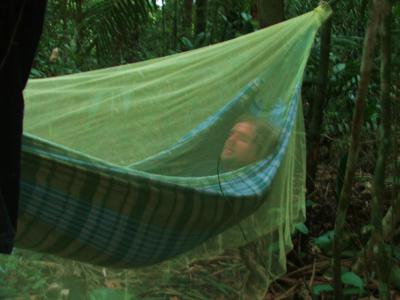 amazon mosquit nets
