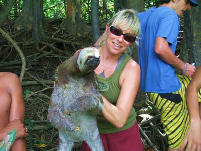 amazon sloth